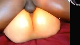 Classic porn from Florida: Miami Ass